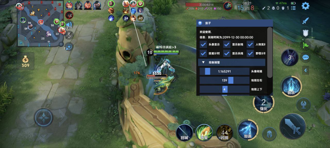 王者荣耀巅峰王者辅助科技