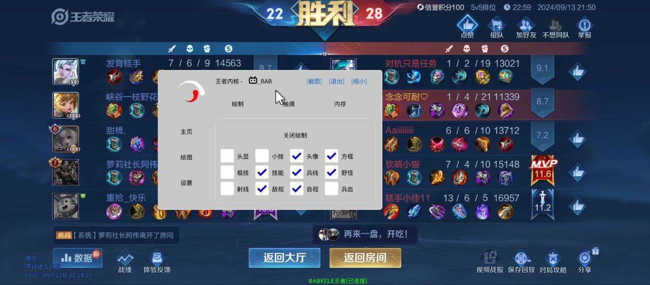 王者荣耀「Pis」内部辅助