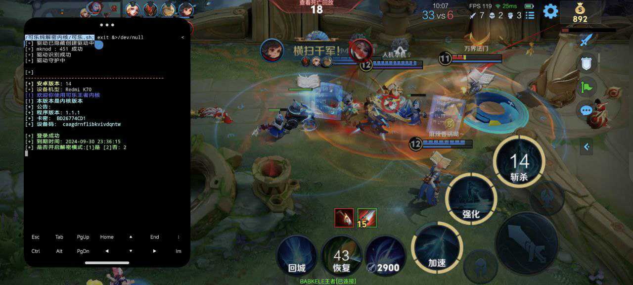 王者荣耀辅助《坚果》内部