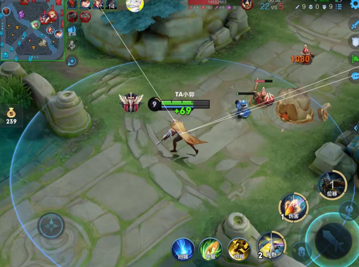 王者荣耀「Pis」内部辅助